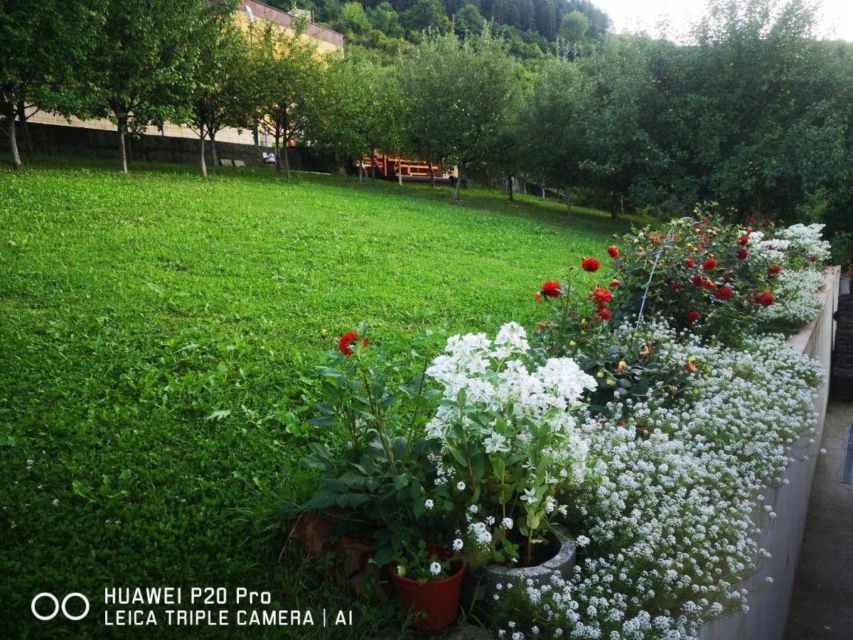 Edo Apartment Visoko