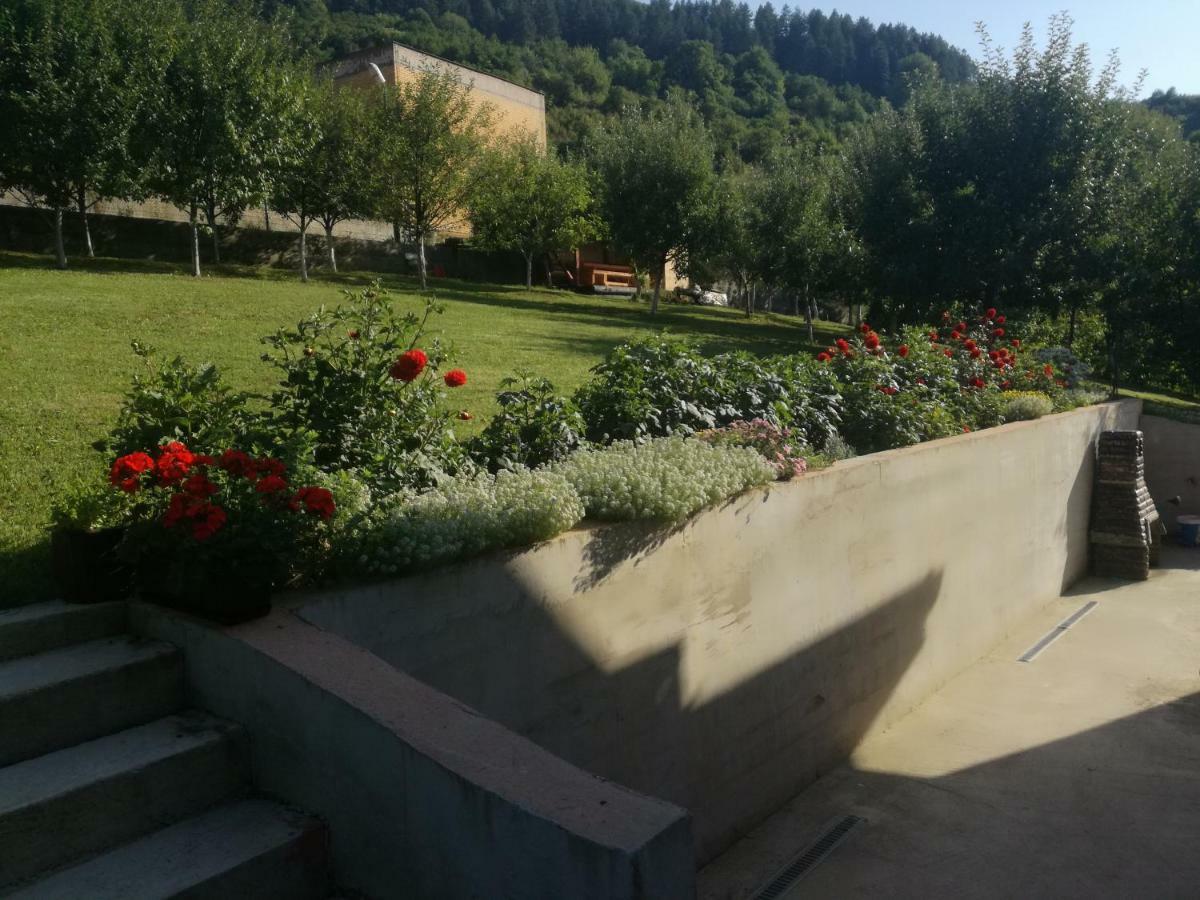 Edo * Visoko